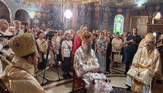 Сръбският патриарх Порфирий: Църквата съществува, за да преобразява света