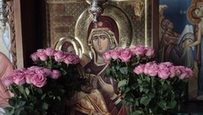 Иконата на Богородица Одигитрия идва за поклонение в Челопечене