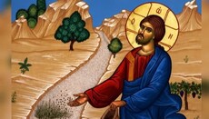 Притчата за сеяча разкрива как човек приема Божието слово